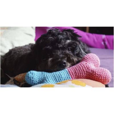 Häkelanleitung Hundespielzeug 