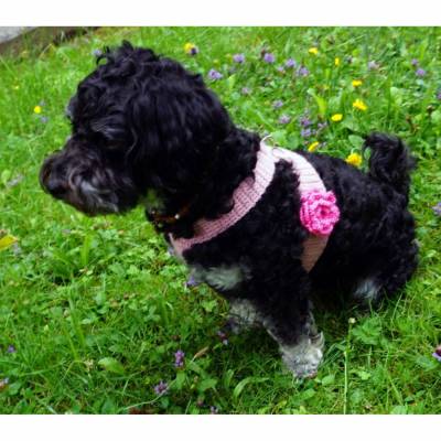 Häkelanleitung Hundegeschirr optional mit hübscher Rose (für kleine Hunde)