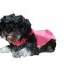 Häkelanleitung Hundemantel mit Kapuze ideal für kleine Hunde und kalte trockne Tage Bild 7