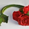 Filzrose Schlüsselband lila Schlüssel-Rose Bild 4