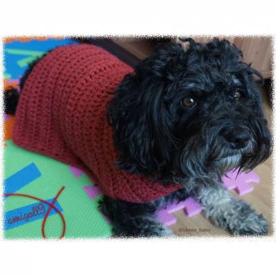 Häkelanleitung für den einfachen Hundemantel!