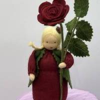 Rose dunkelrot -  Jahreszeitentisch - Blumenkind - Sommer Bild 6