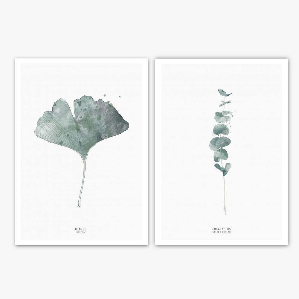 Set von zwei botanischen Kunstdrucken, Gingko Biloba Blatt und