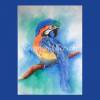 Ara handgemaltes Aquarellbild, Tierporträt in blau, grün, orange, gelb, braun, schwarz und weiß 42 x 28 cm Hochformat Bild 2