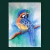 Ara handgemaltes Aquarellbild, Tierporträt in blau, grün, orange, gelb, braun, schwarz und weiß 42 x 28 cm Hochformat Bild 3