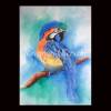 Ara handgemaltes Aquarellbild, Tierporträt in blau, grün, orange, gelb, braun, schwarz und weiß 42 x 28 cm Hochformat Bild 4