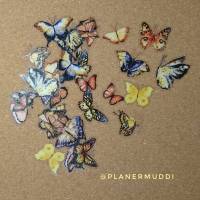 Sticker-Set "Butterfly" 8, 20-teilig