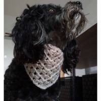 Hundehalstuch  Farbverlaufswolle zartrosa grau glitzer  mit Schiebeknoten  bis 40cm verstellbar! Bild 1
