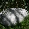 Granit Kieselstein Kissen hellgrau handgefilzt aus Wolle - Füllung Polyester Hohlfaserkügelchen Bild 9