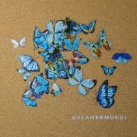 Sticker-Set "Butterfly" 2, 20-teilig Bild 1