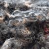 50 Gramm Lammlöckchen vom schwarzen Wensleydale, Spinnen, Filzen, Basteln, Puppenhaar, Weben Bild 5