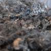 50 Gramm Lammlöckchen vom schwarzen Wensleydale, Spinnen, Filzen, Basteln, Puppenhaar, Weben Bild 7
