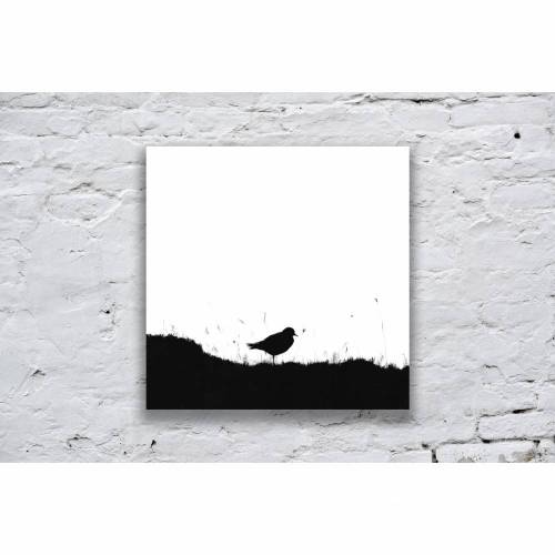 Kleiner Vogel im Gras, Fotografie und Illustration in Schwarz-Weiß, Größe 13 x 13 cm und 20 x 20 cm