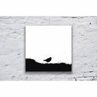 Kleiner Vogel im Gras, Fotografie und Illustration in Schwarz-Weiß, Größe 13 x 13 cm und 20 x 20 cm Bild 1