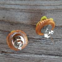 Ohrstecker Mini Obst Kiwi Törtchen Ohrringe Ohrschmuck modelliert aus Polmer Clay Bild 5
