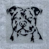 Bügelbild - Bulldogge / Pitbull (Hund) - viele mögliche Farben Bild 1