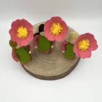 Heckenrose -  Jahreszeitentisch - Blumenkind - Sommer Bild 2