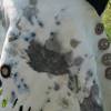 Poncho handgefilzt EcoPrint kuschelig weich Geschenk Herbst Jacke Bild 10