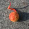 Katzenspielzeug Spielball mit Glöckchen handgefilzt rot meliert Bild 4