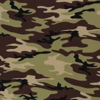 Jersey Baumwolljersey Vera Swafing  Camouflage grün  Oeko-Tex Standard 100(1m/15,-€) Bild 1