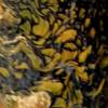 Acryl pouring art " gold & black" 30x40cm Bild 5