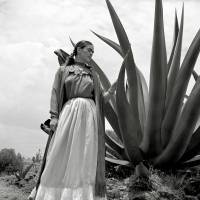 Frida Kahlo I - Kunstdruck Poster ungerahmt -  Fotokunst - schwarz-weiss Fotografie  Vintage Bilder - Kunst Druck Bild 1