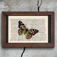 Butterfly No. 5 - Druck auf antiquarischer Buchseite Bild 1