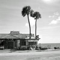 Clark's Corner - Meer, Strand und Palmen -  Kunstdruck Fineartprint Poster Vintage Art - schwarz weiß Fotografie - K Bild 1