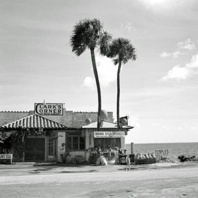 Clark's Corner - Meer, Strand und Palmen -  Kunstdruck Fineartprint Poster Vintage Art - schwarz weiß Fotografie - K