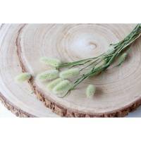BIO Trockengräser Lagurus/ Samtgrass als Trockenblumen-Arrangement oder als Dekoration für Hochzeitstorten Natur (DEMETER) Bild 1