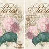 Bastelpapier - Decoupage-Papier - A4 - Softpapier - Vintage - Shabby - Hortensie - Hydrangea - Paris - 12741 Bild 2