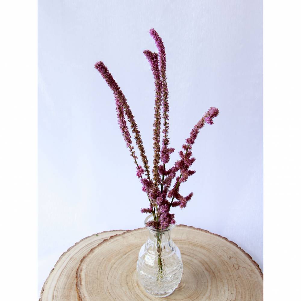 BIO Meerlavendel/ Russische Statice für DiY-Arrangements (DEMETER) Organic dried flowers Bild 1