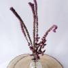 BIO Meerlavendel/ Russische Statice für DiY-Arrangements (DEMETER) Organic dried flowers Bild 3