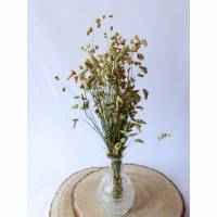 BIO Zittergras/ Briza media für DiY-Arrangements (DEMETER) Organic dried flowers Bild 1