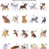 Besticktes Kinderhandtuch mit Hunde-Welpen Namen Kita Erkennungsbilder Kindertagesstätte Tagesmutter Kindergarten Bild 4