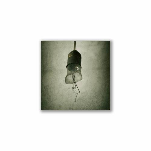 Glühlampe, Glühbirne, Lampe, Foto auf Holz, im Quadrat, 10 x 10 cm, Lost Place, marode