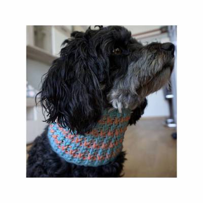 Häkelanleitung für den Hundeloop 