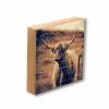 Galloway schottisches Hochlandrind, Foto auf Holz, im Quadrat, 10 x 10 cm, Lost Place, marode, Schottland Bild 2