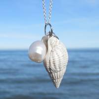 Hübsche Muschel Schnecke mit Süßwasser Perle an einer Sterlingsilber Kette, maritime Halskette als Geschenkidee für Meersüchtige Bild 1