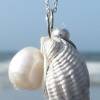 Hübsche Muschel Schnecke mit Süßwasser Perle an einer Sterlingsilber Kette, maritime Halskette als Geschenkidee für Meersüchtige Bild 7