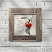 ERDAPFEL Erdbeere küßt Apfel Bild auf Holz Leinwand Kunstdruck Wanddeko Landhausstil Shabby Chic Vintage Style kaufen Bild 1