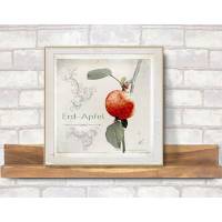 ERDAPFEL Erdbeere küßt Apfel Bild auf Holz Leinwand Kunstdruck Wanddeko Landhausstil Shabby Chic Vintage Style kaufen Bild 3