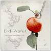 ERDAPFEL Erdbeere küßt Apfel Bild auf Holz Leinwand Kunstdruck Wanddeko Landhausstil Shabby Chic Vintage Style kaufen Bild 6