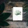 Postkarte Palmblatt, botanische Postkarte, grüne Postkarte Bild 2