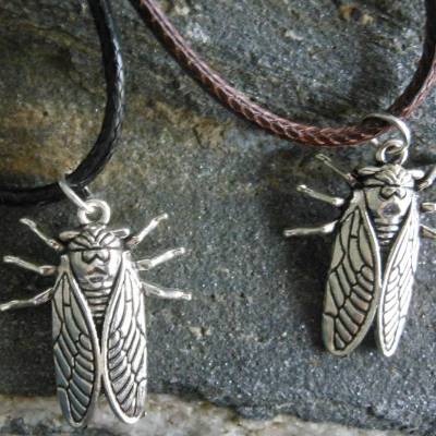 Kakerlake , Schabe, versilbert  Halskette Kunstlederband 