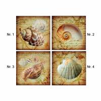 Fliesenaufkleber - Fliesenfolie - Seashells - 13032 Bild 1