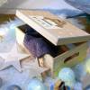 Erinnerungskiste Baby, Holz-Erinnerungsbox, personalisiert mit Geburtsdaten und Namen, Holzkiste mit Deckel Geschenk zur Geburt, Faultier Bild 4