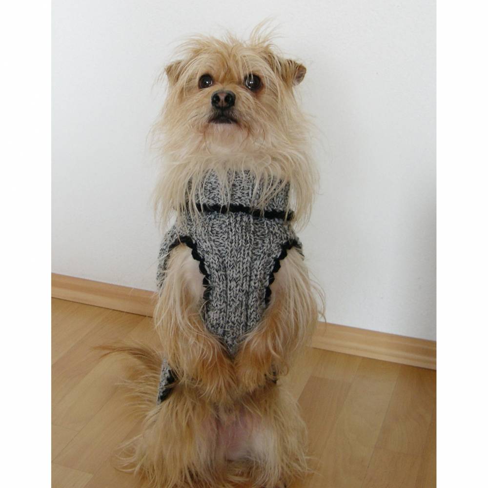 Pitbull Terrier Hund Hunderasse Damen Herren Sweatshirt