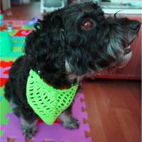 Hundehalstuch neon grün bis 30cm individuell verschließbar  amigoll9 Handarbeit Bild 1