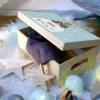 Erinnerungskiste Baby, Holz-Erinnerungsbox, personalisiertes Geschenk zur Geburt, Waschbär mit Geburtsdaten und Name Bild 4